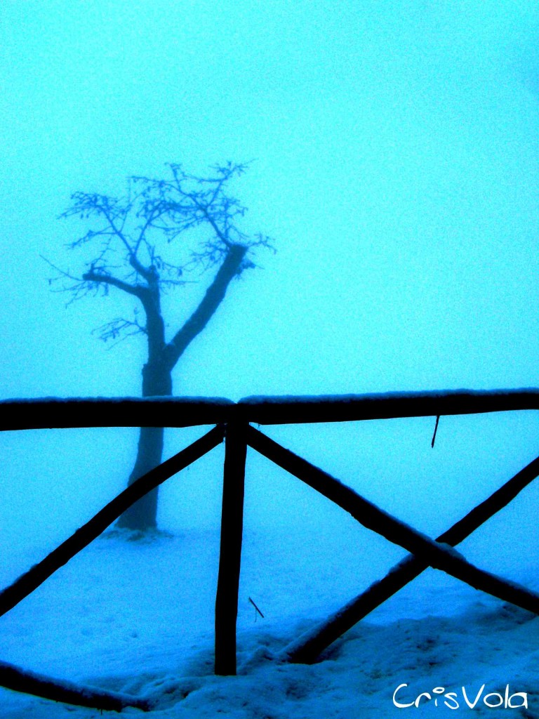 Photo Moments snow moments photo music neve blue cristian nevola