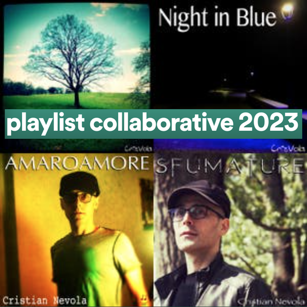 Collaborative playlist Spotify